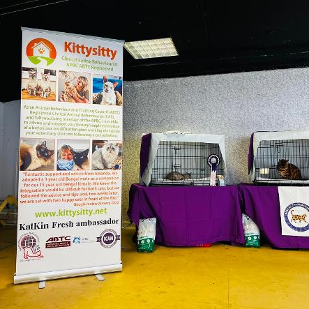 Bengal Cat Association Seminar 2022